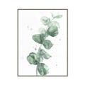 Picture of Green Eucalyptus I _GroupedProduct_Rectangle_Portrait_Canvas_Framed_