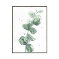 Picture of Green Eucalyptus I _GroupedProduct_Rectangle_Portrait_Canvas_Framed_