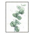 Picture of Green Eucalyptus I _GroupedProduct_Rectangle_Portrait_Canvas_Framed_