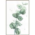 Picture of Green Eucalyptus I _GroupedProduct_Rectangle_Portrait_Canvas_Framed_