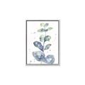 Picture of Green Eucalyptus II _GroupedProduct_Rectangle_Portrait_Canvas_Framed_