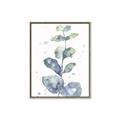 Picture of Green Eucalyptus II _GroupedProduct_Rectangle_Portrait_Canvas_Framed_