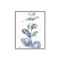 Picture of Green Eucalyptus II _GroupedProduct_Rectangle_Portrait_Canvas_Framed_