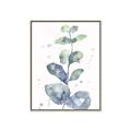 Picture of Green Eucalyptus II _GroupedProduct_Rectangle_Portrait_Canvas_Framed_