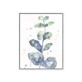 Picture of Green Eucalyptus II _GroupedProduct_Rectangle_Portrait_Canvas_Framed_