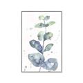 Picture of Green Eucalyptus II _GroupedProduct_Rectangle_Portrait_Canvas_Framed_