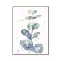 Picture of Green Eucalyptus II _GroupedProduct_Rectangle_Portrait_Canvas_Framed_
