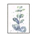 Picture of Green Eucalyptus II _GroupedProduct_Rectangle_Portrait_Canvas_Framed_