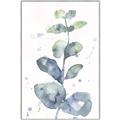 Picture of Green Eucalyptus II _GroupedProduct_Rectangle_Portrait_Canvas_Framed_