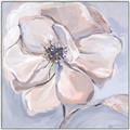 Picture of Pastel Beauty On Grey _GroupedProduct_Square_Canvas_Framed_