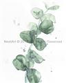 Picture of Green Eucalyptus I _GroupedProduct_Rectangle_Portrait_Unframed_Print_Only_