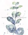 Picture of Green Eucalyptus II _GroupedProduct_Rectangle_Portrait_Unframed_Print_Only_