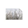 Picture of Autumn Wild Flowers _GroupedProduct_Rectangle_Landscape_Unframed_Print_Only_