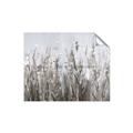 Picture of Autumn Wild Flowers _GroupedProduct_Rectangle_Landscape_Unframed_Print_Only_
