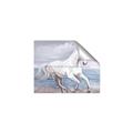 Picture of Wild Horse _GroupedProduct_Rectangle_Landscape_Unframed_Print_Only_