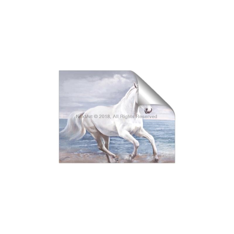Picture of Wild Horse _GroupedProduct_Rectangle_Landscape_Unframed_Print_Only_