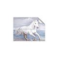 Picture of Wild Horse _GroupedProduct_Rectangle_Landscape_Unframed_Print_Only_