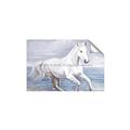 Picture of Wild Horse _GroupedProduct_Rectangle_Landscape_Unframed_Print_Only_