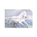 Picture of Wild Horse _GroupedProduct_Rectangle_Landscape_Unframed_Print_Only_