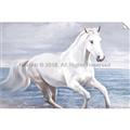 Picture of Wild Horse _GroupedProduct_Rectangle_Landscape_Unframed_Print_Only_
