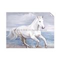 Picture of Wild Horse _GroupedProduct_Rectangle_Landscape_Unframed_Print_Only_