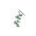 Picture of Green Eucalyptus I _GroupedProduct_Rectangle_Portrait_Unframed_Print_Only_