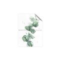 Picture of Green Eucalyptus I _GroupedProduct_Rectangle_Portrait_Unframed_Print_Only_
