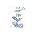 Picture of Green Eucalyptus II _GroupedProduct_Rectangle_Portrait_Unframed_Print_Only_