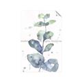Picture of Green Eucalyptus II _GroupedProduct_Rectangle_Portrait_Unframed_Print_Only_