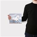 Picture of Wild Horse _GroupedProduct_Rectangle_Landscape_Canvas_