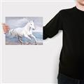 Picture of Wild Horse _GroupedProduct_Rectangle_Landscape_Canvas_