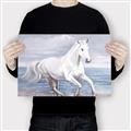 Picture of Wild Horse _GroupedProduct_Rectangle_Landscape_Canvas_