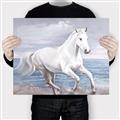 Picture of Wild Horse _GroupedProduct_Rectangle_Landscape_Canvas_