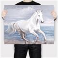 Picture of Wild Horse _GroupedProduct_Rectangle_Landscape_Canvas_