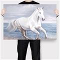 Picture of Wild Horse _GroupedProduct_Rectangle_Landscape_Canvas_