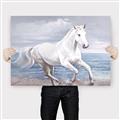 Picture of Wild Horse _GroupedProduct_Rectangle_Landscape_Canvas_