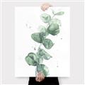 Picture of Green Eucalyptus I _GroupedProduct_Rectangle_Portrait_Canvas_