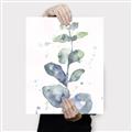Picture of Green Eucalyptus II _GroupedProduct_Rectangle_Portrait_Canvas_
