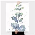 Picture of Green Eucalyptus II _GroupedProduct_Rectangle_Portrait_Canvas_