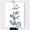 Picture of Green Eucalyptus II _GroupedProduct_Rectangle_Portrait_Canvas_