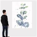 Picture of Green Eucalyptus II _GroupedProduct_Rectangle_Portrait_Canvas_