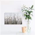 Picture of Autumn Wild Flowers _GroupedProduct_Rectangle_Landscape_Canvas_