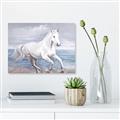 Picture of Wild Horse _GroupedProduct_Rectangle_Landscape_Canvas_