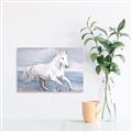 Picture of Wild Horse _GroupedProduct_Rectangle_Landscape_Canvas_