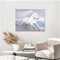 Picture of Wild Horse _GroupedProduct_Rectangle_Landscape_Canvas_