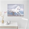 Picture of Wild Horse _GroupedProduct_Rectangle_Landscape_Canvas_