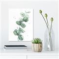 Picture of Green Eucalyptus I _GroupedProduct_Rectangle_Portrait_Canvas_