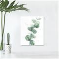 Picture of Green Eucalyptus I _GroupedProduct_Rectangle_Portrait_Canvas_