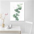 Picture of Green Eucalyptus I _GroupedProduct_Rectangle_Portrait_Canvas_