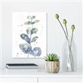 Picture of Green Eucalyptus II _GroupedProduct_Rectangle_Portrait_Canvas_